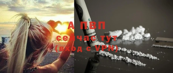 винт Гусиноозёрск
