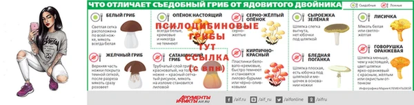 ПСИЛОЦИБИНОВЫЕ ГРИБЫ Гусь-Хрустальный