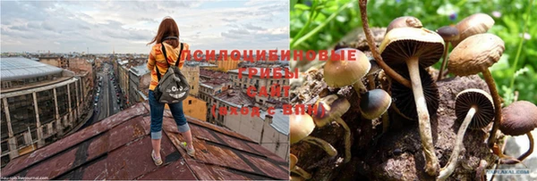 мет Дмитров