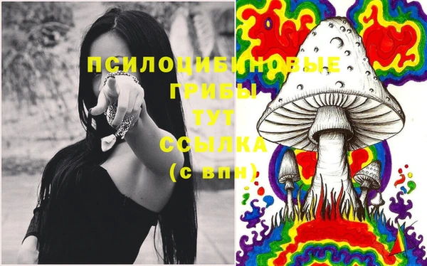 трава Гусев