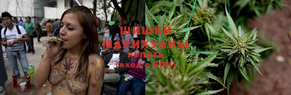 трава Гусев